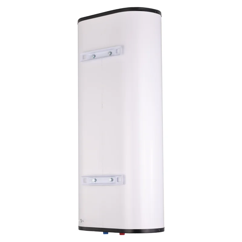 Maintenance-Free Electronic Anode Water Heater 100L factory Maintenance-Free Electronic Anode Water Heater 100L factory